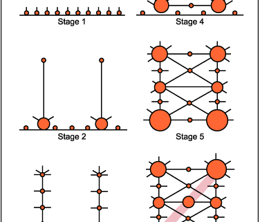 Modelisation of the transport network in developing countries