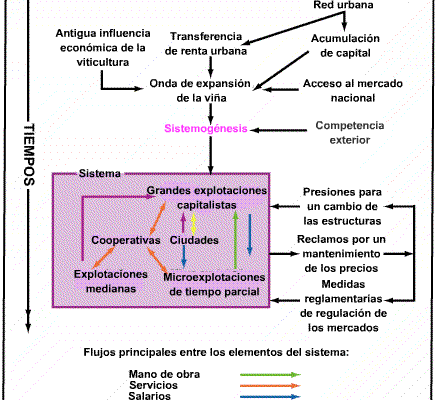 El sistema del vinedo languedociano
